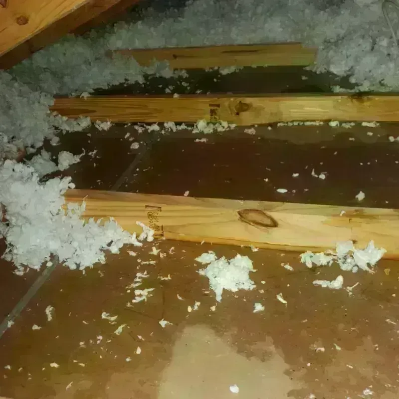 Attic Water Damage in Garden View, PA